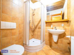 Prodej chaty, Bělá pod Pradědem - Bělá, 260 m2