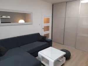 Prodej bytu 1+1, Brno, Glinkova, 33 m2