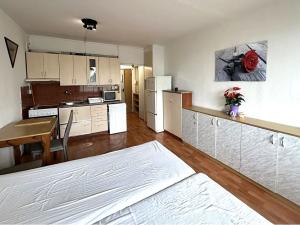 Pronájem bytu 1+kk, Humpolec, Na Rybníčku, 24 m2