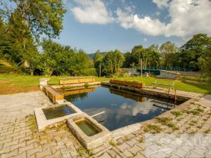 Prodej bytu 3+kk, Železná Ruda - Špičák, 99 m2