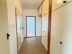 Prodej bytu 2+1, Praha - Žižkov, K lučinám, 51 m2