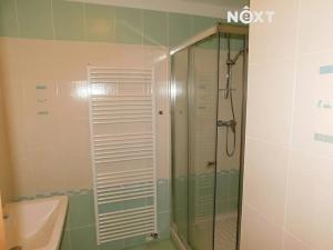 Pronájem bytu 1+kk, Černý Důl, 42 m2