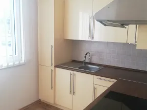 Prodej bytu 1+1, Přerov, Bayerova, 32 m2