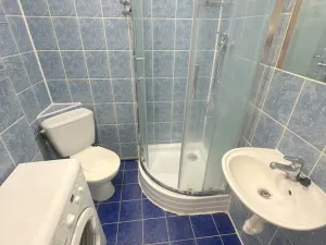 Pronájem bytu 1+kk, Praha - Nusle, Na Veselí, 31 m2