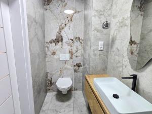 Prodej bytu 2+1, Karviná, Borovského, 51 m2
