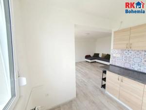 Pronájem bytu 1+1, Mladá Boleslav, Jana Palacha, 40 m2