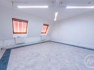 Pronájem kanceláře, Ostrava - Přívoz, Libušina, 30 m2