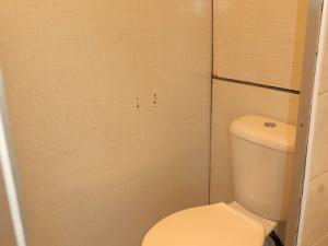 Pronájem bytu 1+kk, Hradec Králové - Pražské Předměstí, Jungmannova, 31 m2