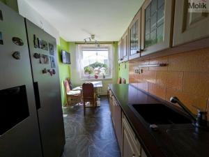 Prodej bytu 3+1, Teplice - Prosetice, Prosetická, 73 m2