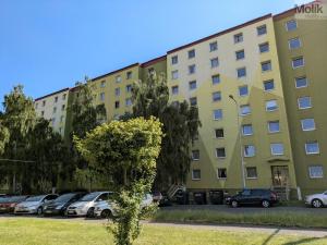 Prodej bytu 3+1, Teplice - Prosetice, Prosetická, 73 m2