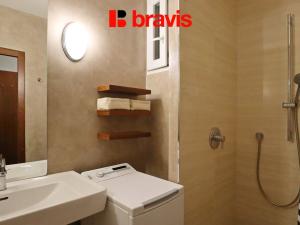 Pronájem bytu 1+1, Brno - Veveří, Mášova, 45 m2