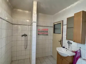 Prodej rodinného domu, Týn nad Vltavou, Lipová, 234 m2