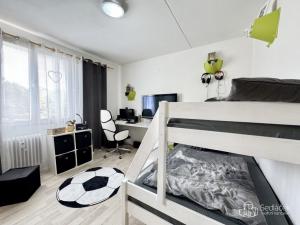 Prodej bytu 3+1, Sokolov, Mánesova, 60 m2