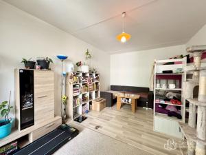 Prodej bytu 1+1, Sokolov, Švabinského, 36 m2