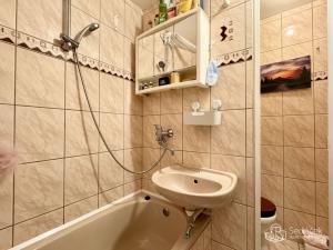Prodej bytu 1+1, Sokolov, Švabinského, 36 m2