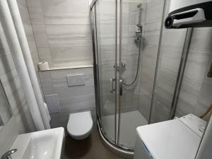 Pronájem bytu 1+1, Brno - Pisárky, Preslova, 47 m2