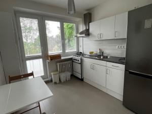 Pronájem bytu 1+1, Brno - Pisárky, Preslova, 47 m2