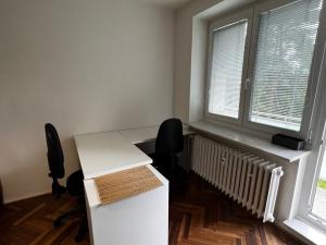 Pronájem bytu 1+1, Brno - Pisárky, Preslova, 47 m2