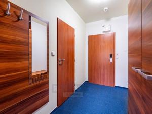 Prodej atypického bytu, Frymburk, 27 m2