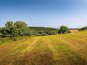 Prodej pozemku pro bydlení, Dubičné, 4385 m2