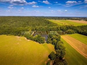 Prodej pozemku pro bydlení, Dubičné, 4385 m2