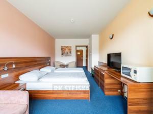 Prodej apartmánu, Frymburk, 27 m2