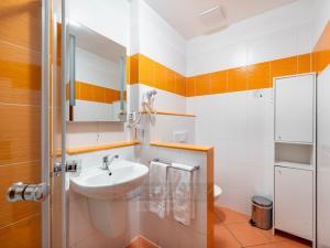 Prodej apartmánu, Frymburk, 27 m2