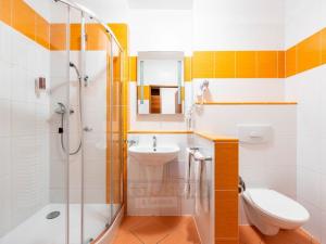 Prodej apartmánu, Frymburk, 27 m2