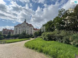 Pronájem bytu 2+kk, Praha - Karlín, Lyčkovo náměstí, 48 m2