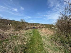Prodej zahrady, Obrnice, nám. 5. května, 600 m2