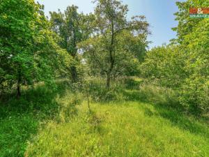 Prodej rodinného domu, Černošín, Plánská, 130 m2