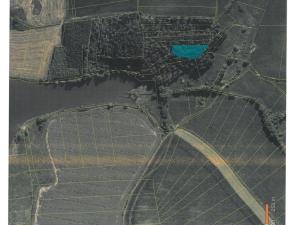 Prodej lesa, Kozlovice, 10280 m2