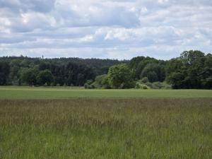 Prodej lesa, Kozlovice, 10280 m2
