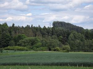 Prodej lesa, Kozlovice, 10280 m2