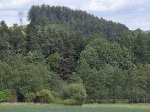 Prodej lesa, Kozlovice, 10280 m2