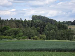 Prodej lesa, Kozlovice, 10280 m2