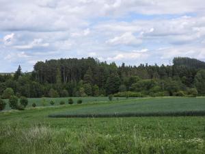 Prodej lesa, Kozlovice, 10280 m2