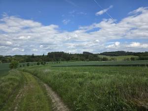 Prodej lesa, Kozlovice, 10280 m2