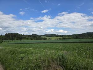 Prodej lesa, Kozlovice, 10280 m2