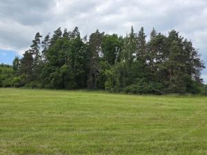 Prodej lesa, Kozlovice, 10280 m2