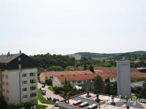 Pronájem bytu 1+1, Rosice, Kaštanová, 40 m2