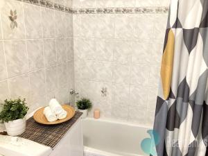 Pronájem bytu 2+kk, České Budějovice, Staroměstská, 43 m2