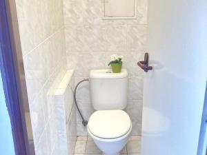 Pronájem bytu 2+kk, České Budějovice, Staroměstská, 43 m2
