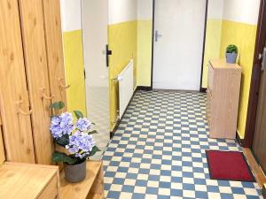 Pronájem bytu 2+kk, České Budějovice, Staroměstská, 43 m2