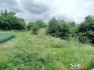 Prodej zahrady, Výškov - Počerady, 2320 m2