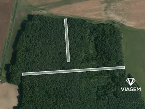 Prodej podílu lesa, Lužnice, 4787 m2
