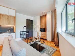 Prodej bytu 1+kk, Praha, Mošnova, 39 m2