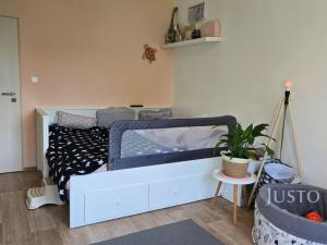 Pronájem bytu 2+1, Písek - Budějovické Předměstí, třída Přátelství, 60 m2