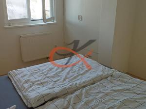 Pronájem bytu 3+1, Olomouc, Kollárovo nám., 78 m2