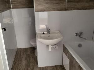 Pronájem bytu 1+1, Děčín - Děčín XXXII-Boletice nad Labem, V Sídlišti, 40 m2